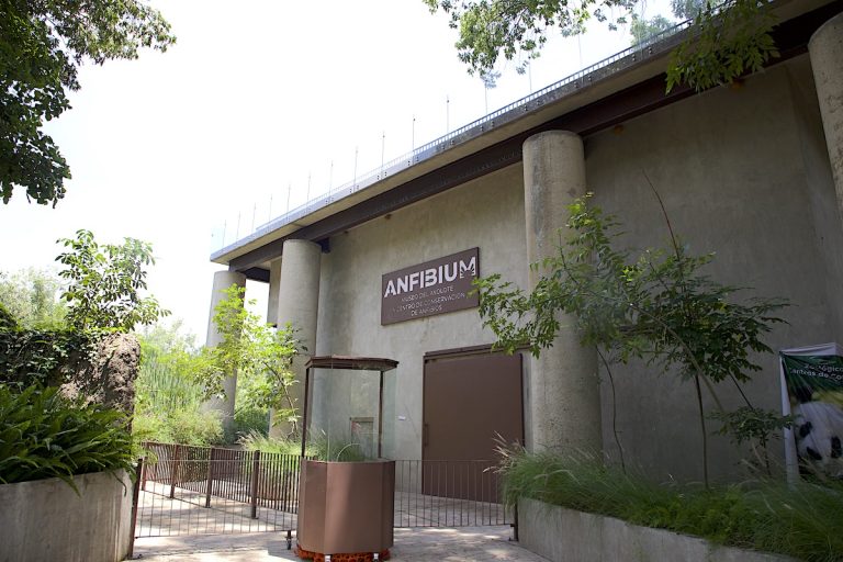 Museo Del Ajolote Una Obra Sin Terminar En Chapultepec