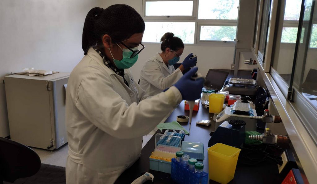 UNAM capacita a laboratorios México coronavirus covid-19