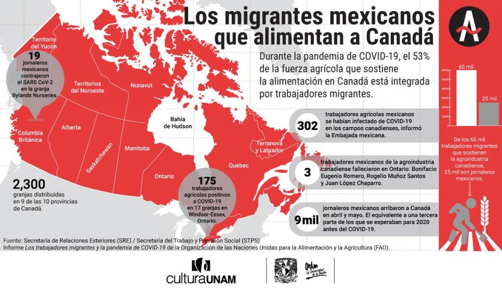 Los jornaleros mexicanos alimentan a Canadá
