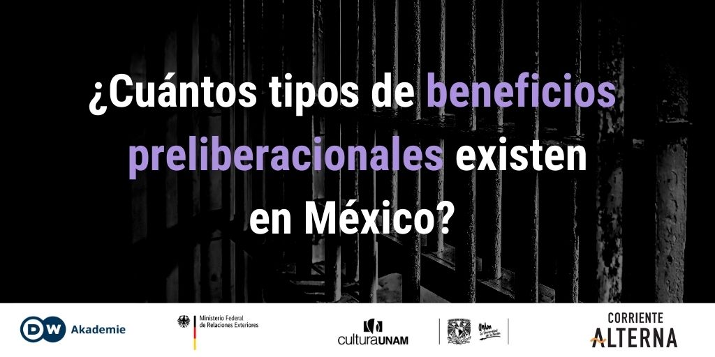 tipos de beneficios preliberacionales México