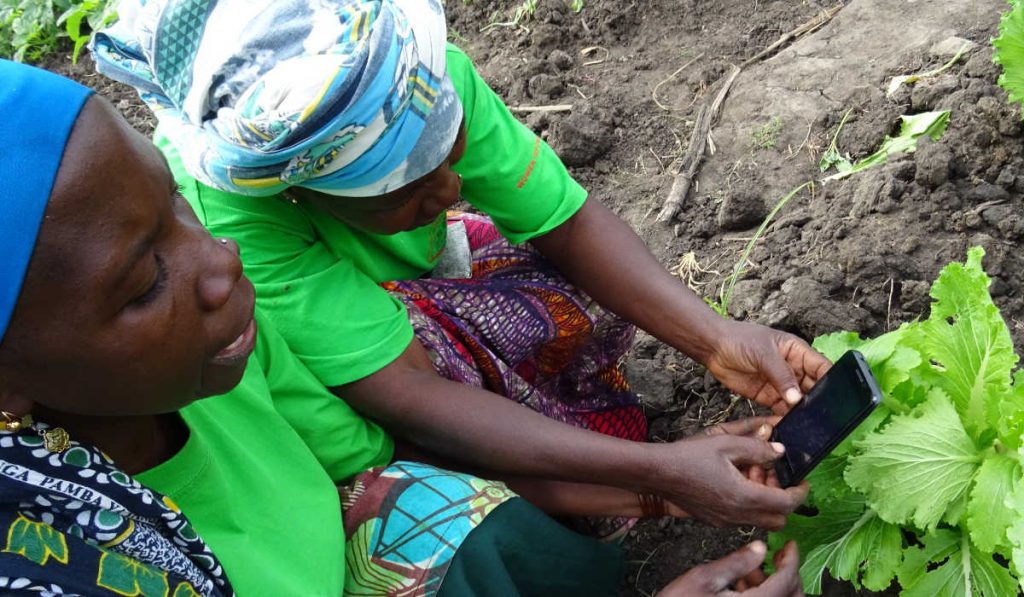 Mujeres campesinas sembrando en Tanzania y compartiendo su experiencia con un teléfono celular