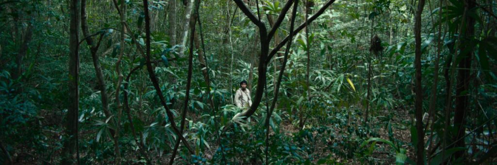 Yulene Olaizola, la mirada introspectiva desde la selva maya