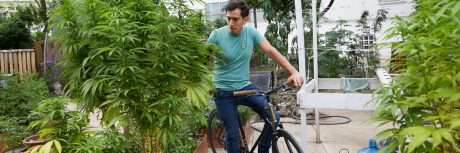 Activistas ciclistas buscan legalización de la marihuana