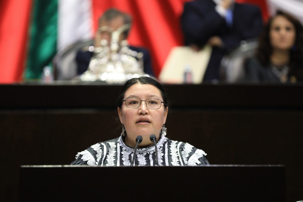 Yásnaya Aguilar Gil en la Cámara de Diputados