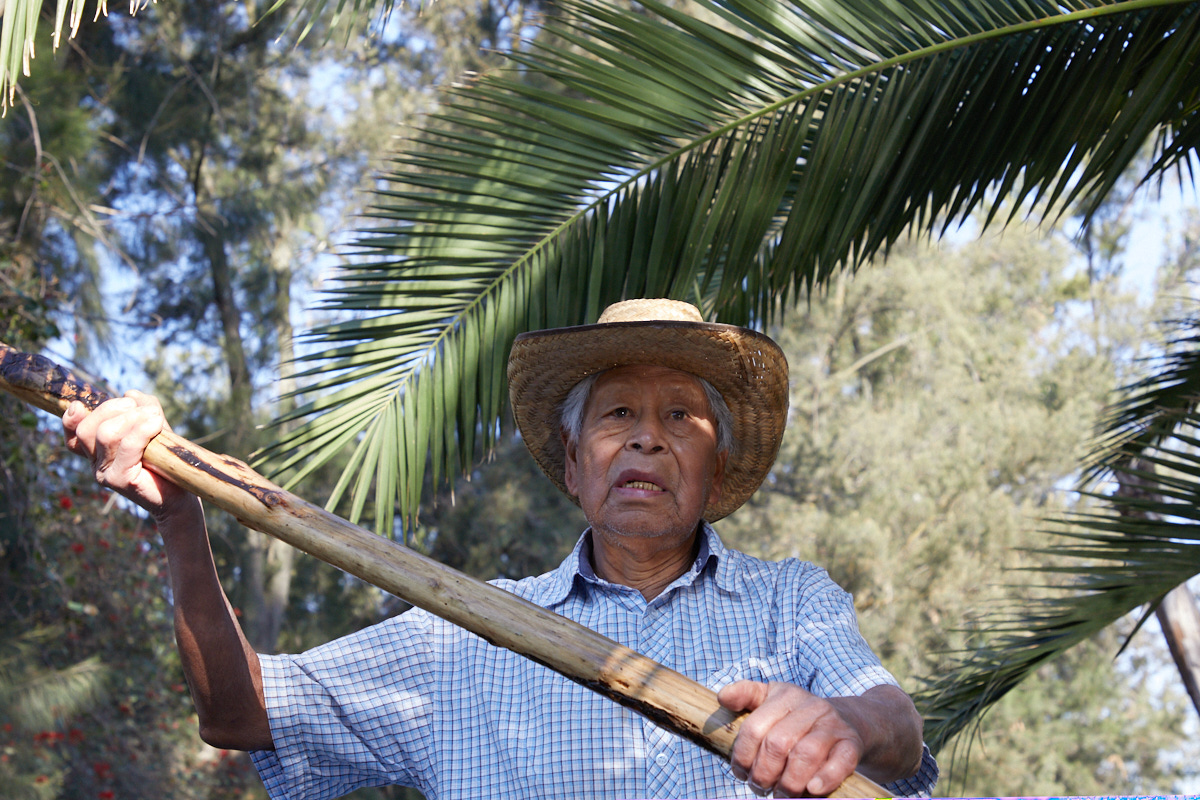 Xochimilco: cuando las canoas encallan
