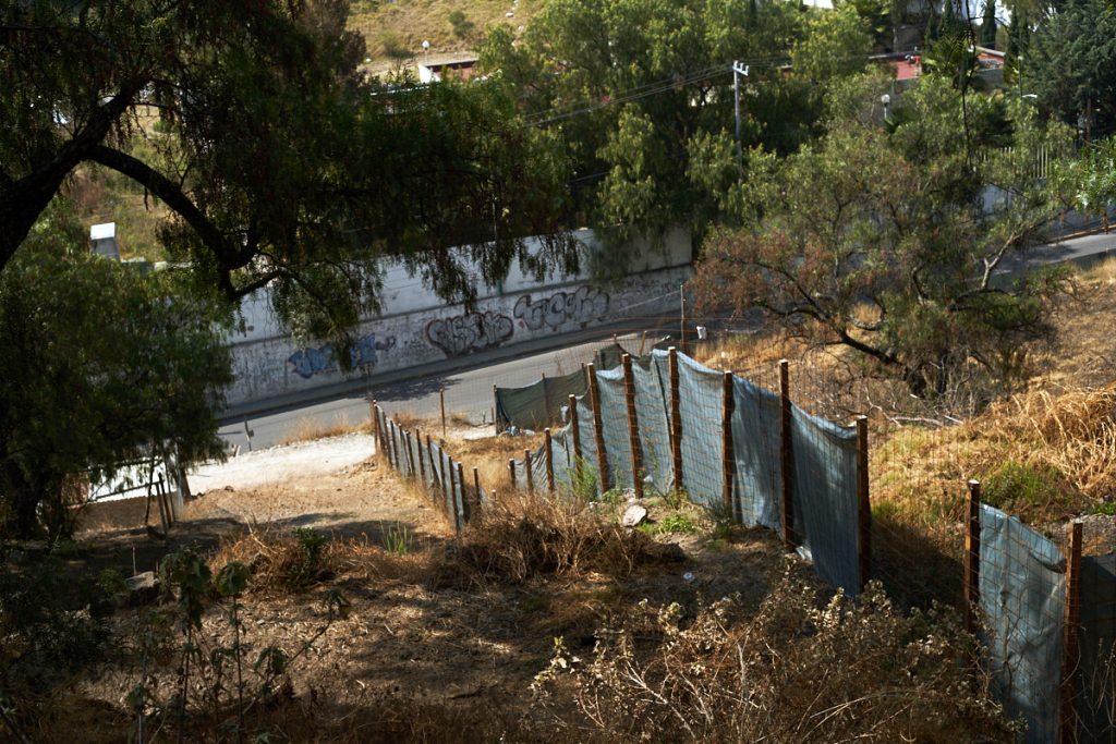Gerentes del abandono: la desprotección institucional del Parque de Los Remedios