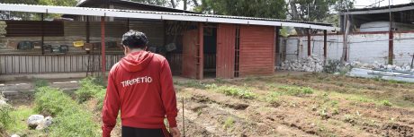 Tiripetío: ejercer la docencia en comunidades campesinas