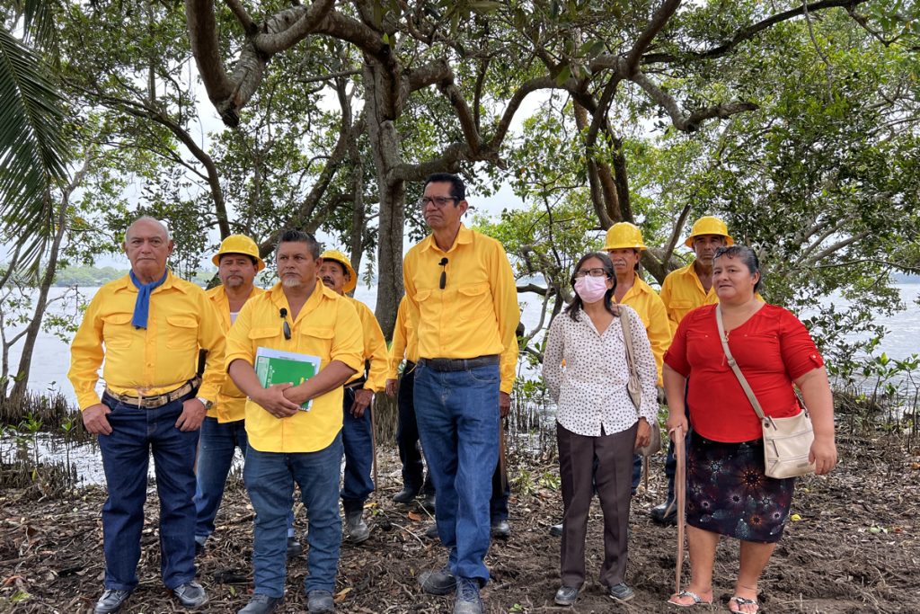 Pódcast: Defender con la vida los manglares de Veracruz
