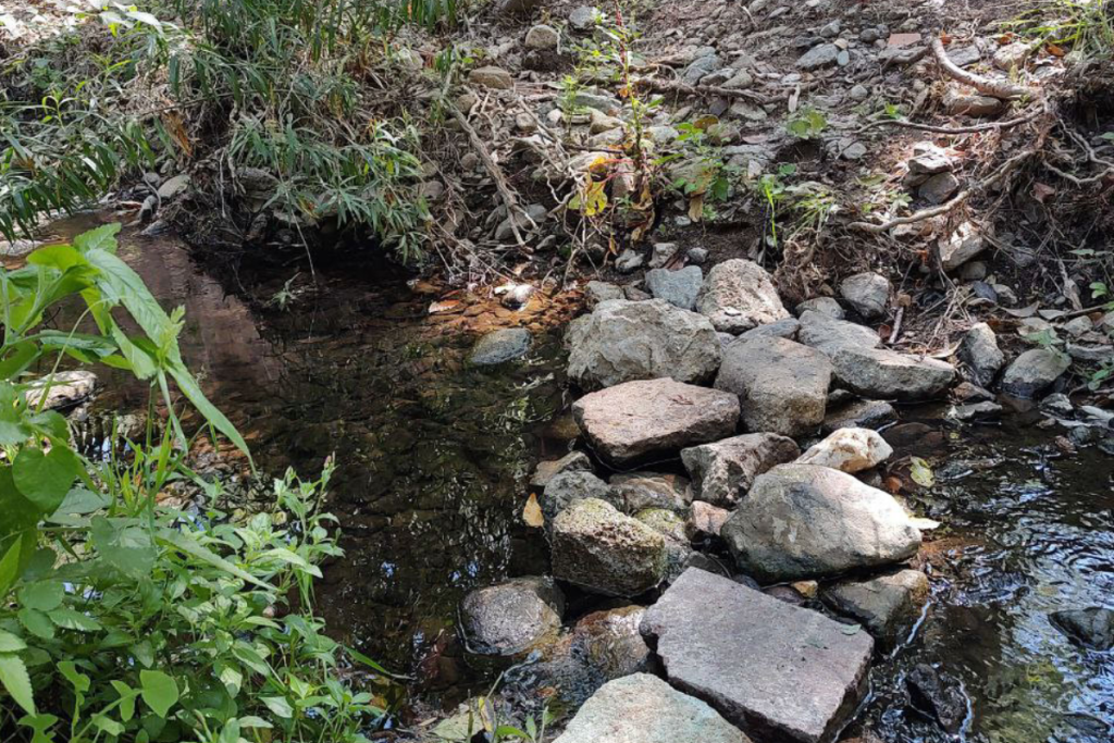 Proyecto Pastita: ¿por qué limpiar un río que se vuelve a ensuciar?