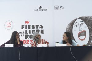 Violencia digital contra mujeres periodistas: “Es mejor ir juntas para ‘repartirnos’ los chingadazos”