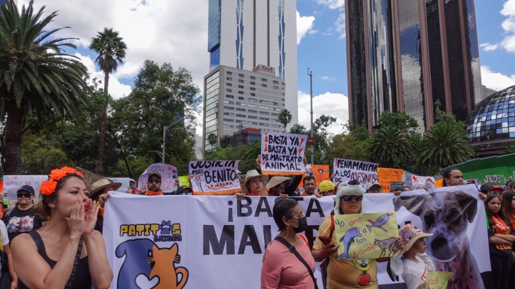 Marcha Ciudadana por los derechos de los animales CDMX