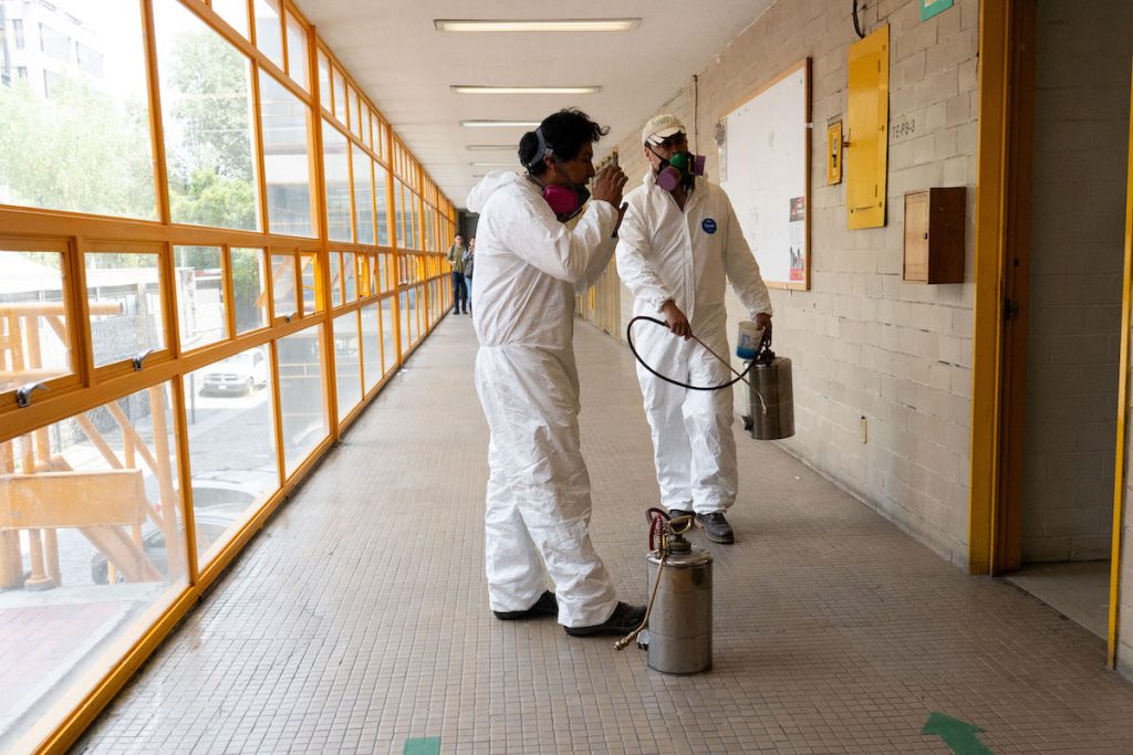 Chinches en la UNAM: la plaga que nadie vio