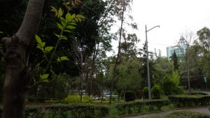 51% de las áreas verdes en la CDMX se concentran en zonas privilegiadas