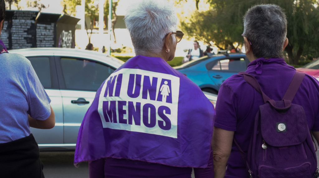 Marcha 25N: “Arriba el feminismo que va a vencer”