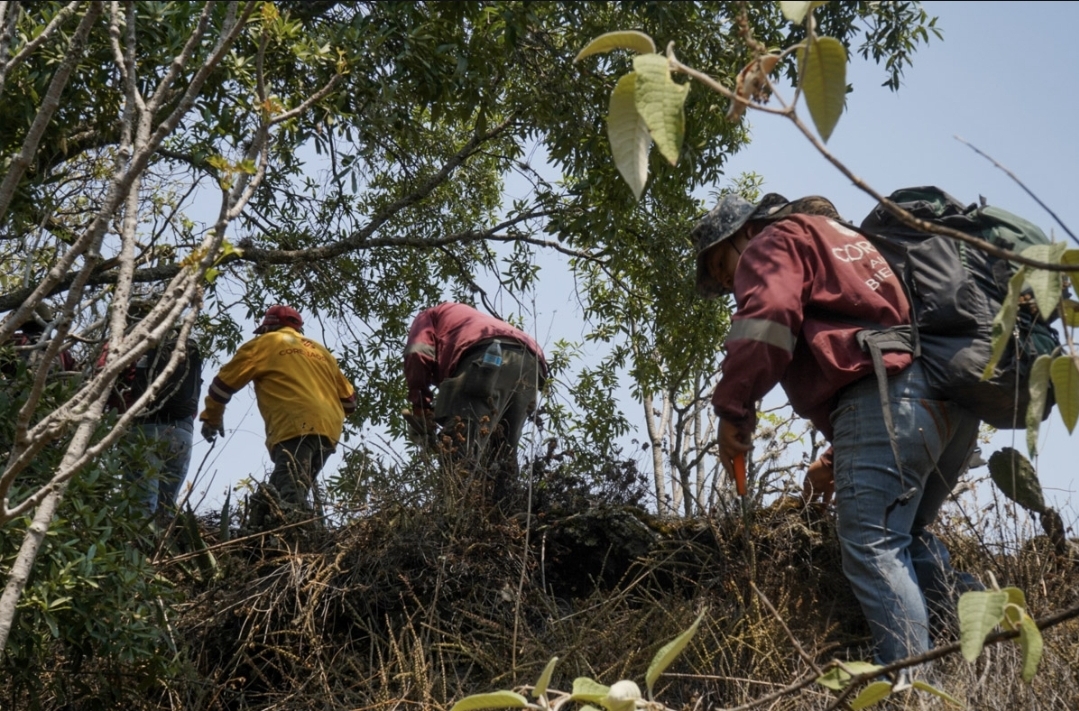 Miembros de la CORENA accediendo a un terreno elevado.
