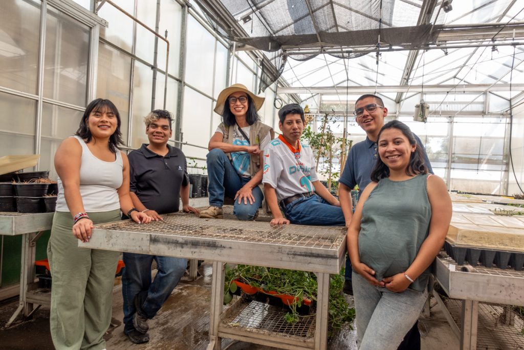 ¿Y si llenamos a la Ciudad de México con plantas nativas?