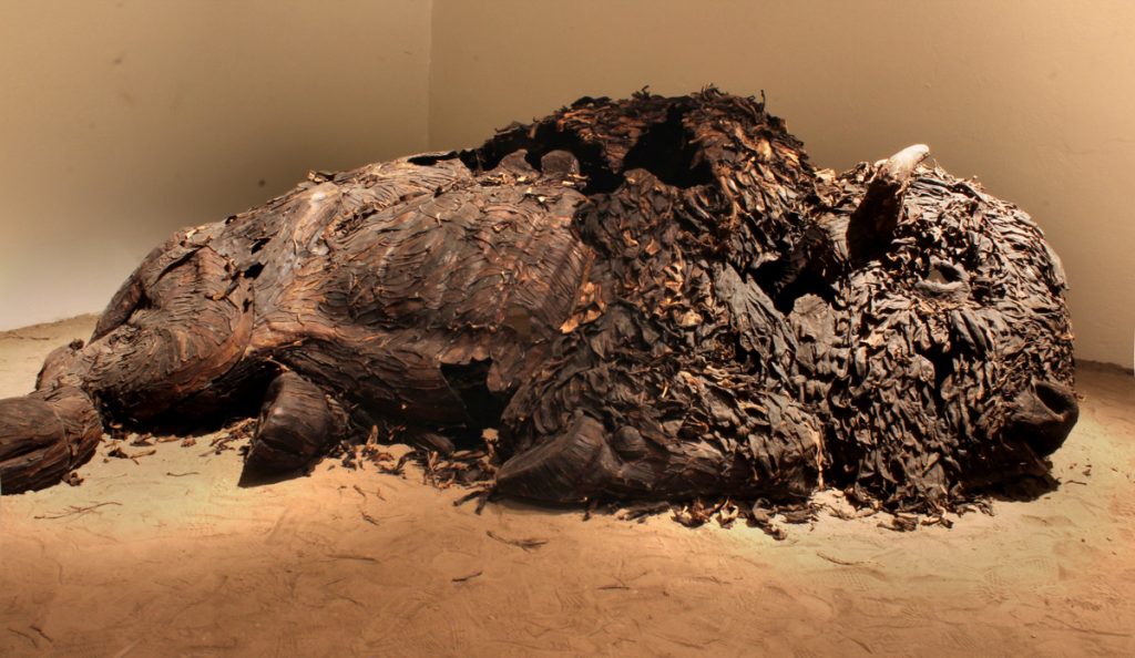 Cáscara de Bisonte (2016) de Ulises Figueroa Cáscara de Bisonte (2016). Fibras vegetales y adhesivos, 3.2 m de longitud. (Cortesía: Ulises Figueroa)