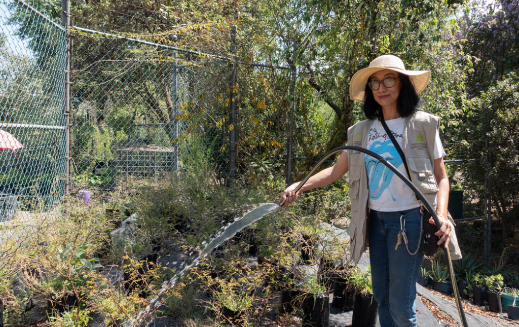 La bióloga Ivonne Olalde busca propagar la presencia de las plantas nativas en la Ciudad de México.